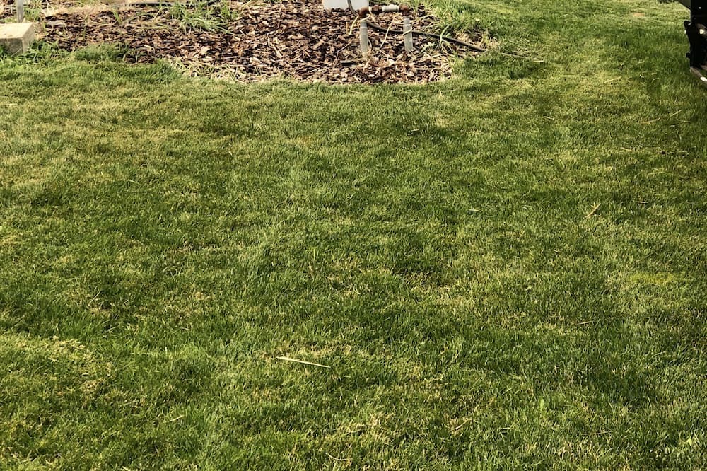 Photo of Outdoor in Pine Hollow