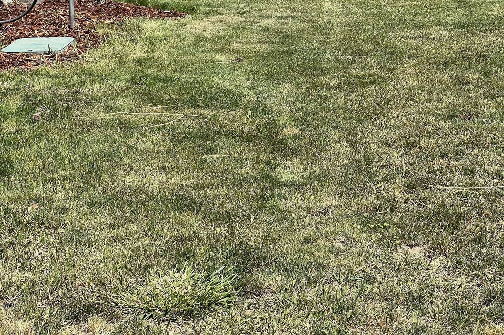 Photo of Outdoor in Pine Hollow