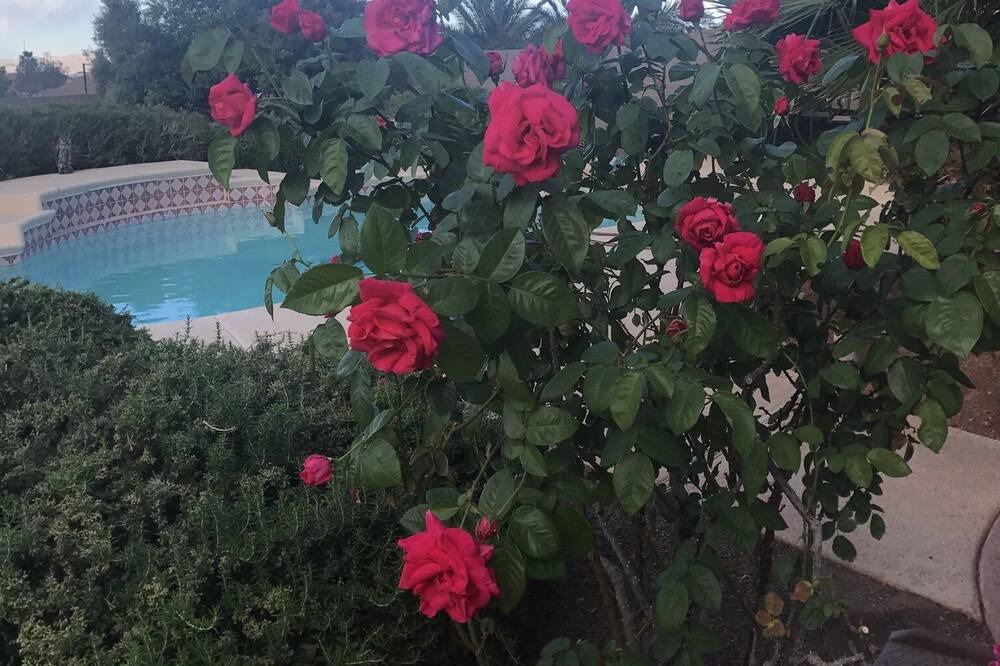 Photo of Outdoor in Townsite