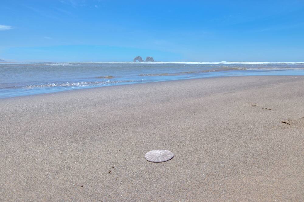 Photo of Outdoor in Rockaway Beach