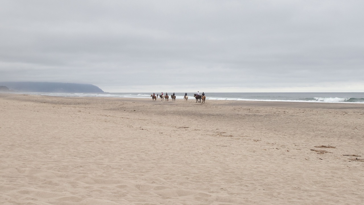 Photo of Others in Kiwanda Shores