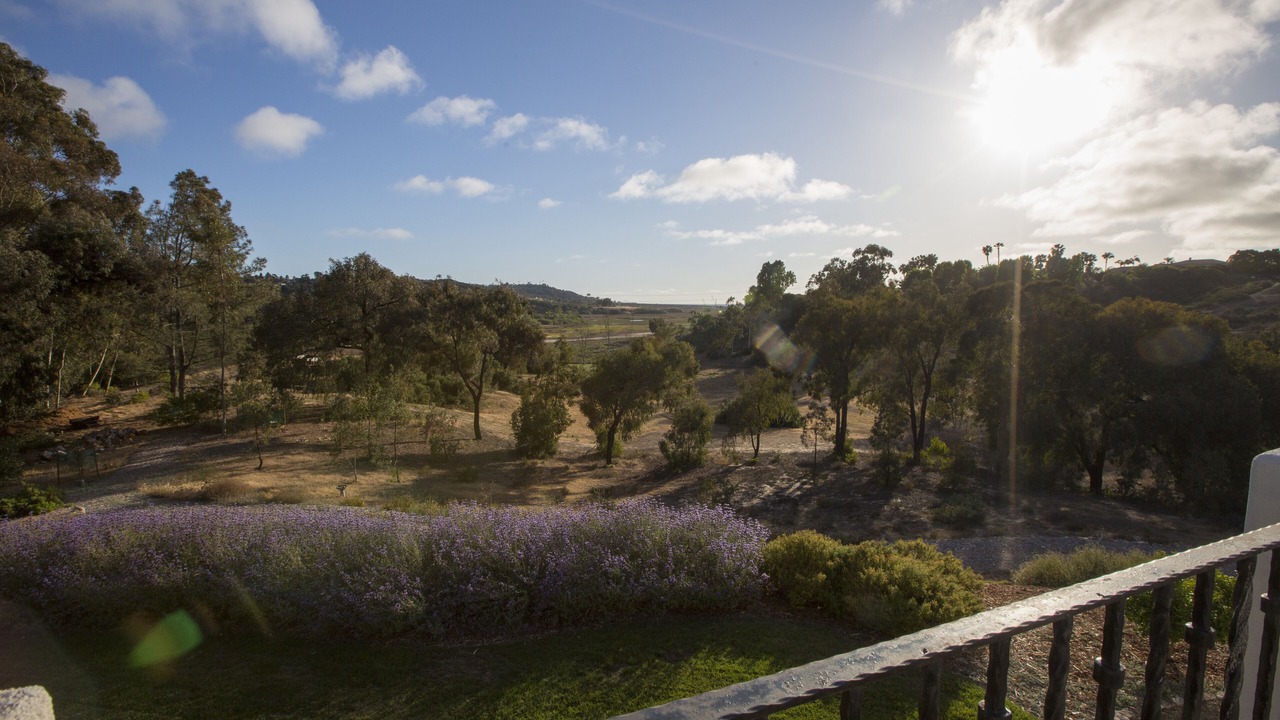 Photo of Outdoor in Covenant