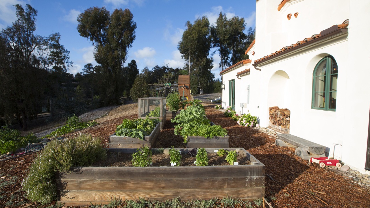 Photo of Outdoor in Covenant