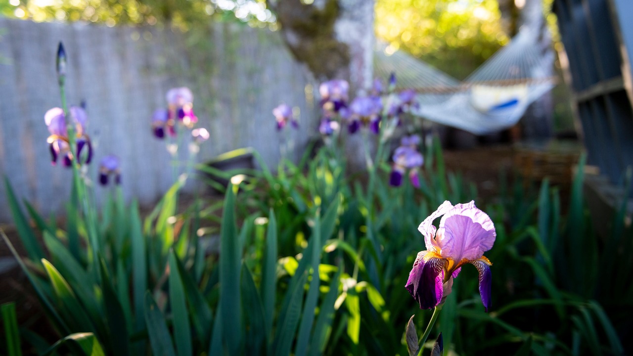Photo of Outdoor in Corvallis