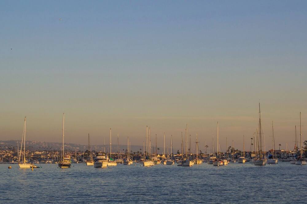 Photo of Others in West Newport