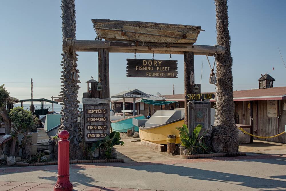 Photo of Others in West Newport