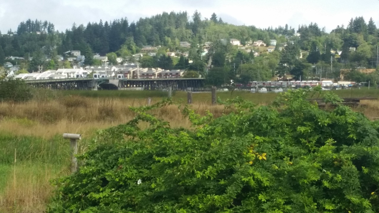 Photo of Outdoor in Astoria