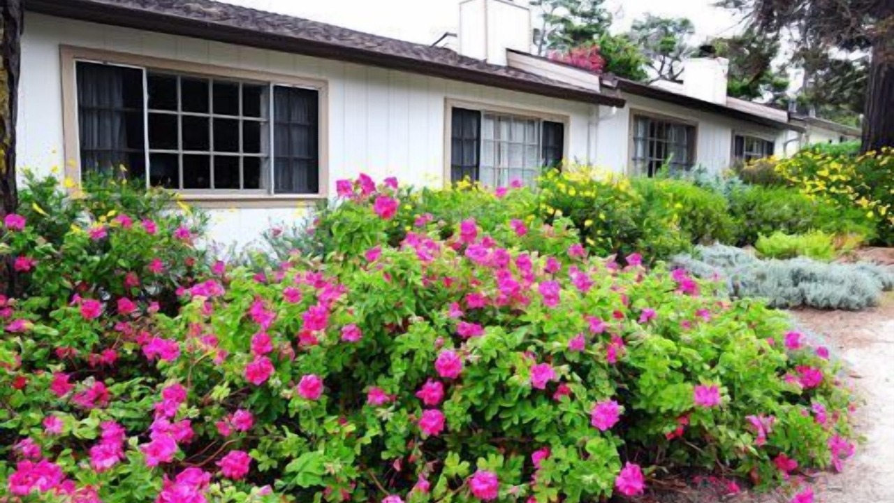 Photo of Outdoor in Pacific Grove
