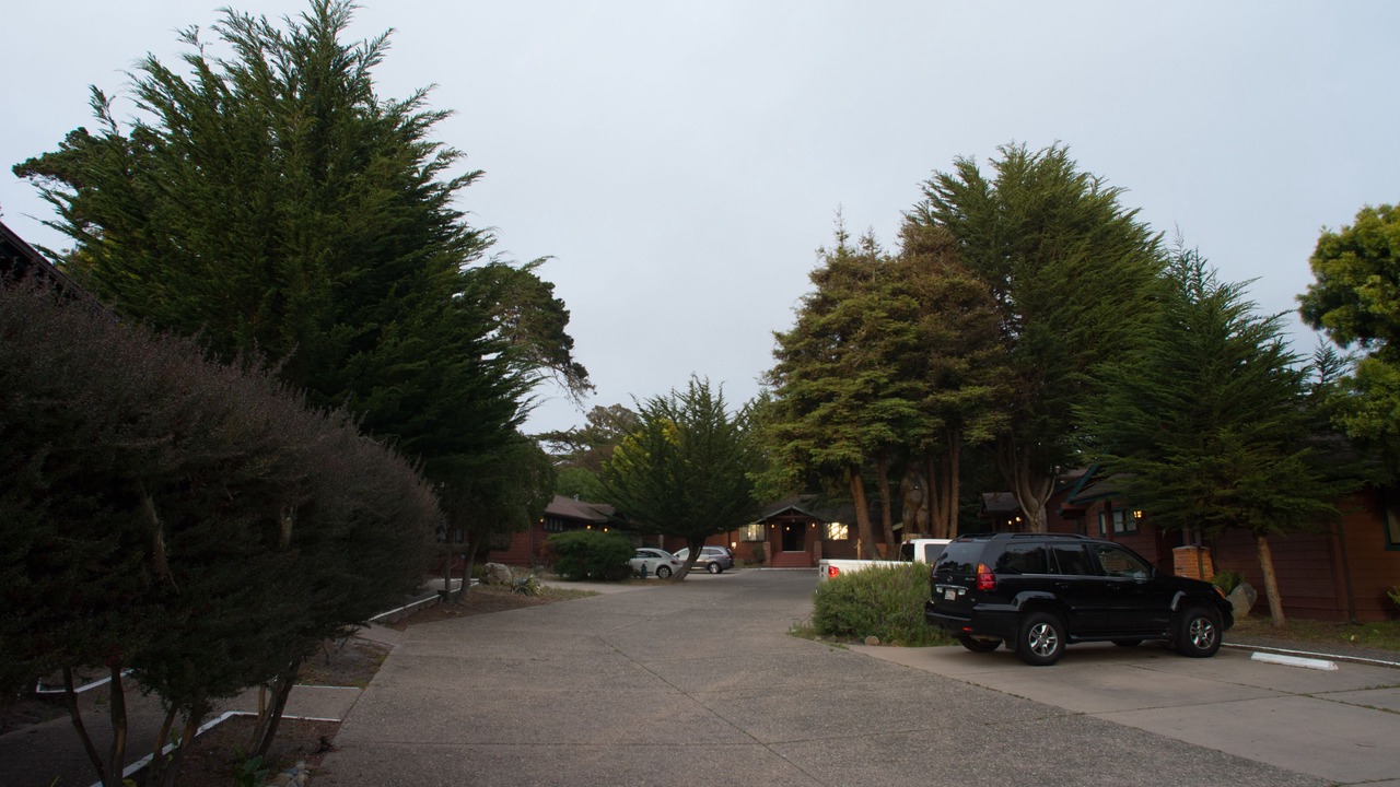 Photo of Others in Pacific Grove