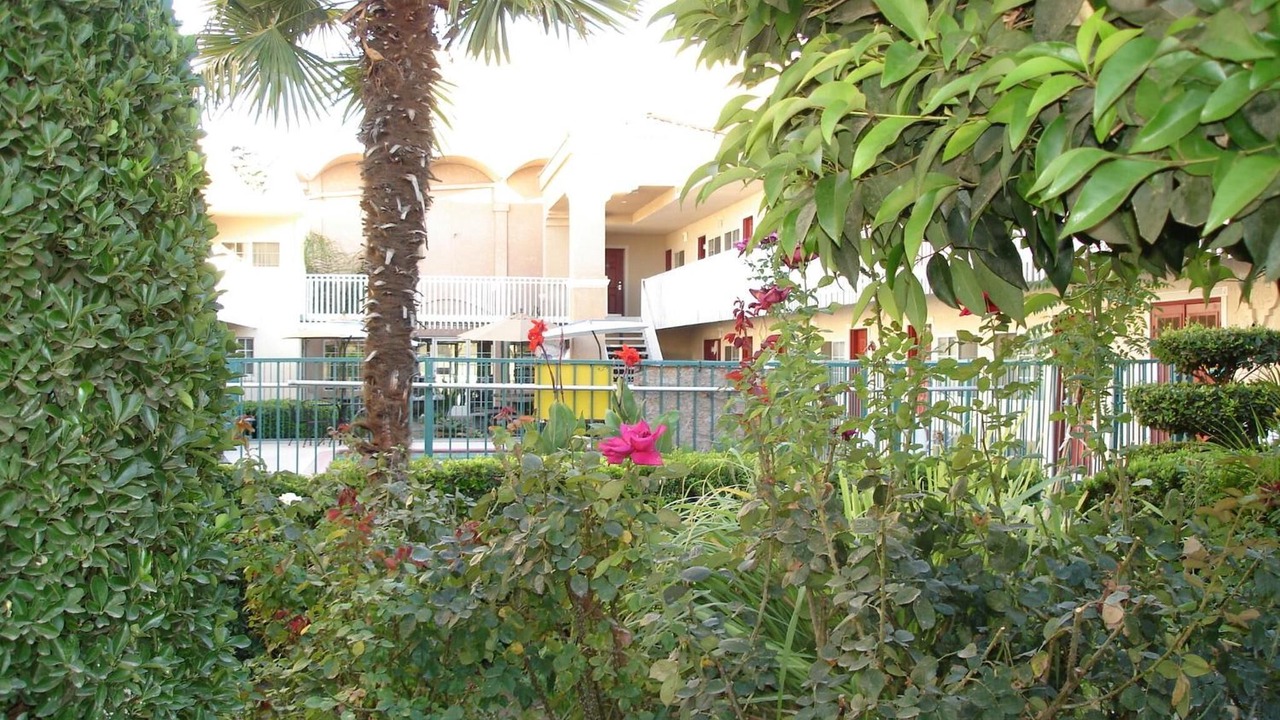 Photo of Outdoor in Downtown