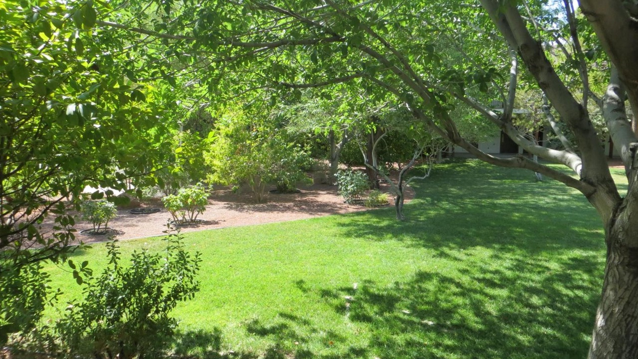 Photo of Outdoor in Pahrump