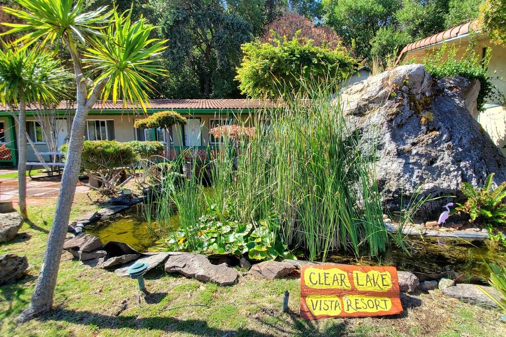 Photo of Outdoor in Soda Bay