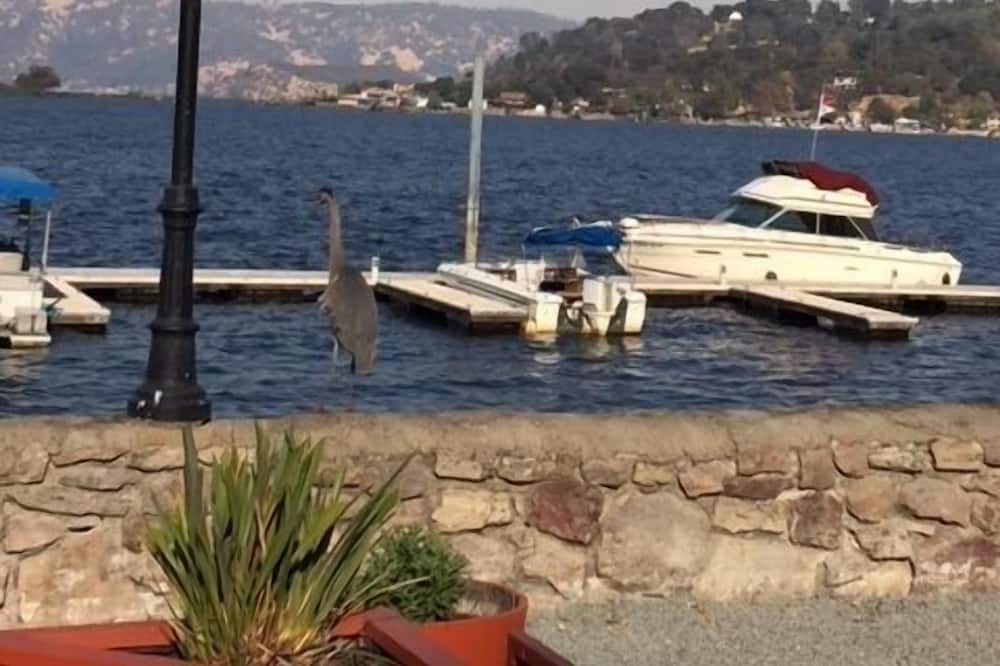 Photo of Others in Soda Bay