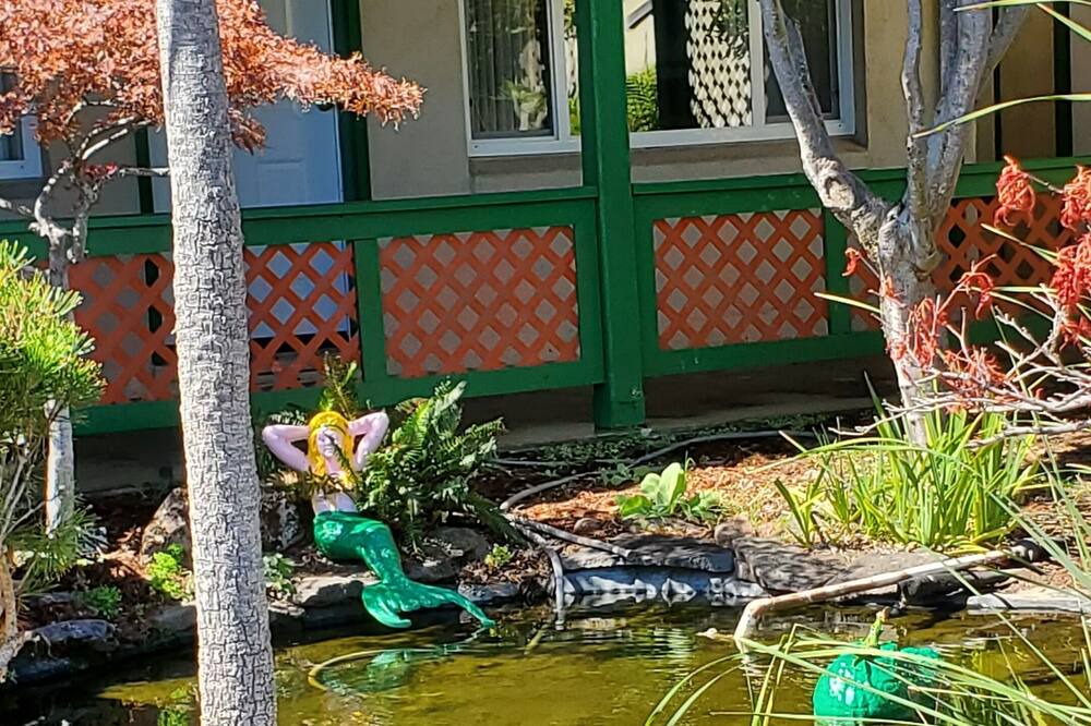 Photo of Outdoor in Soda Bay