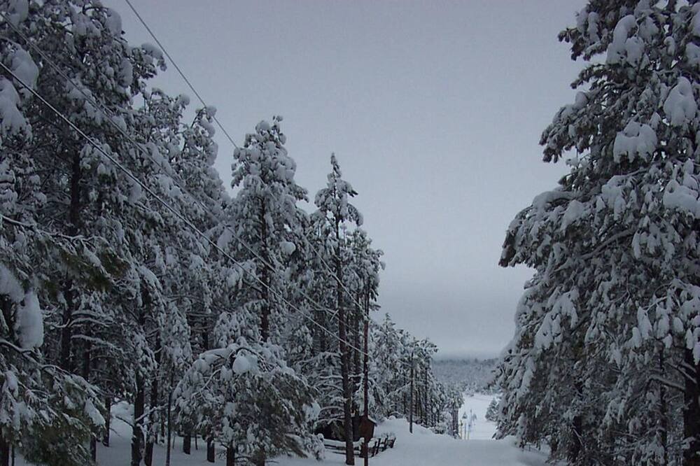 Photo of Others in Williams