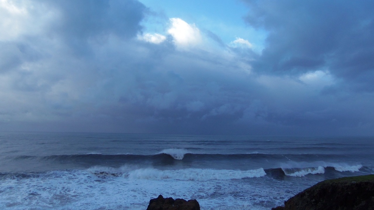 Photo of Others in Shelter Cove