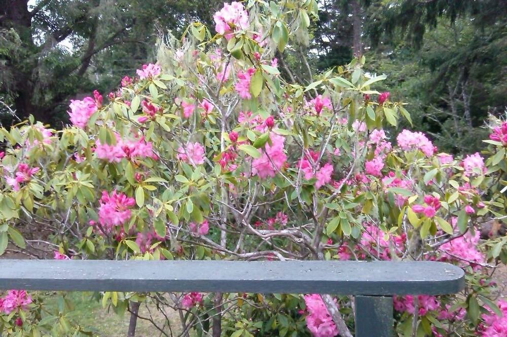 Photo of Outdoor in Barview