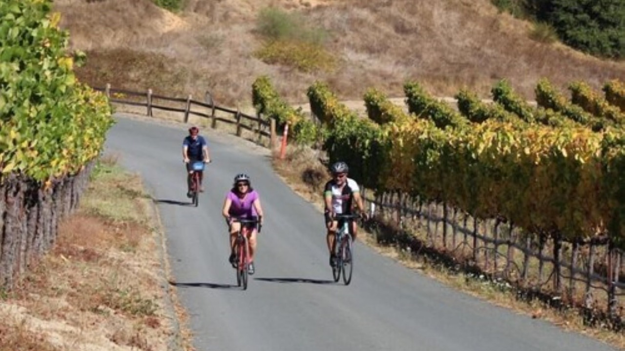 Photo of Outdoor in Napa