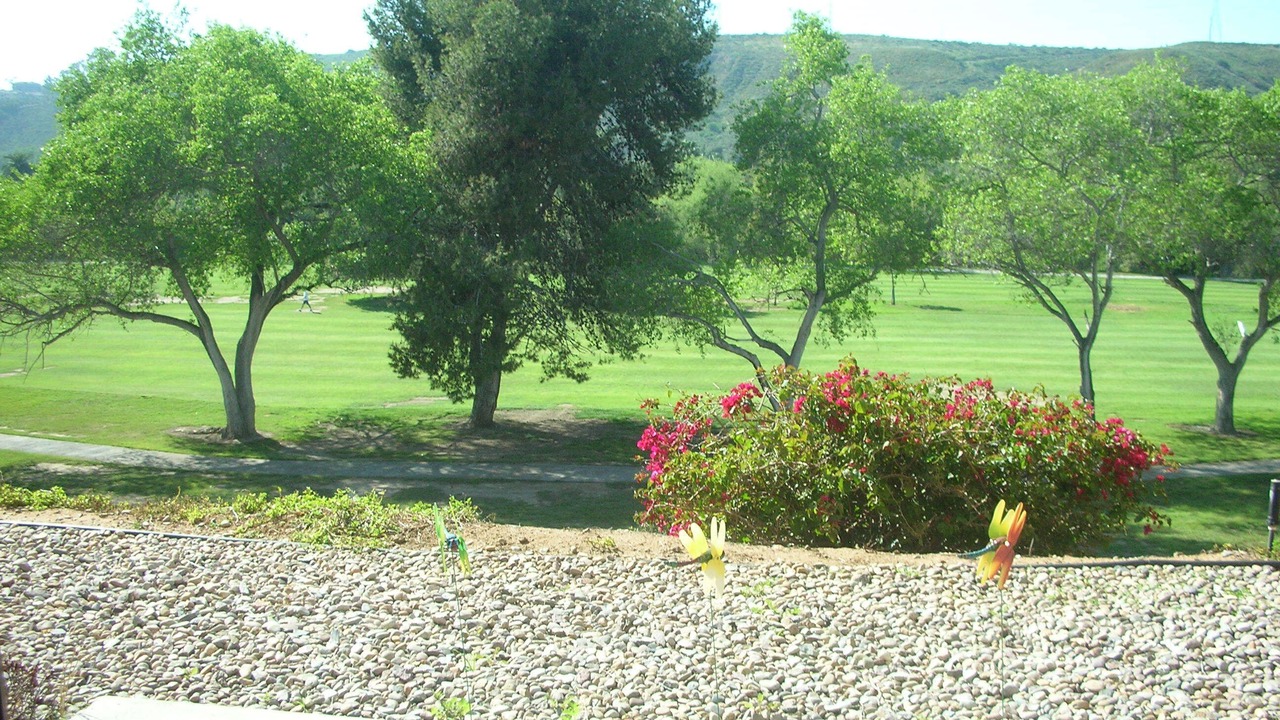 Photo of Outdoor in Allied Gardens