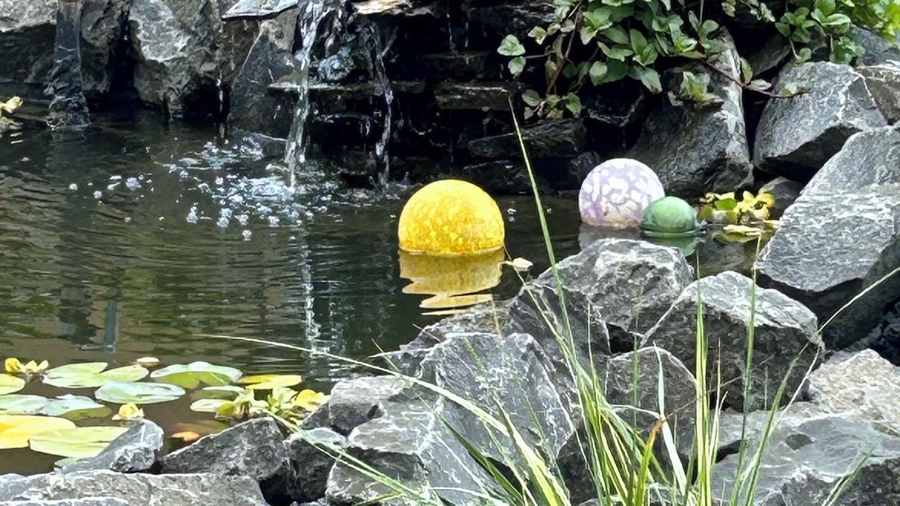 Photo of Outdoor in Corvallis