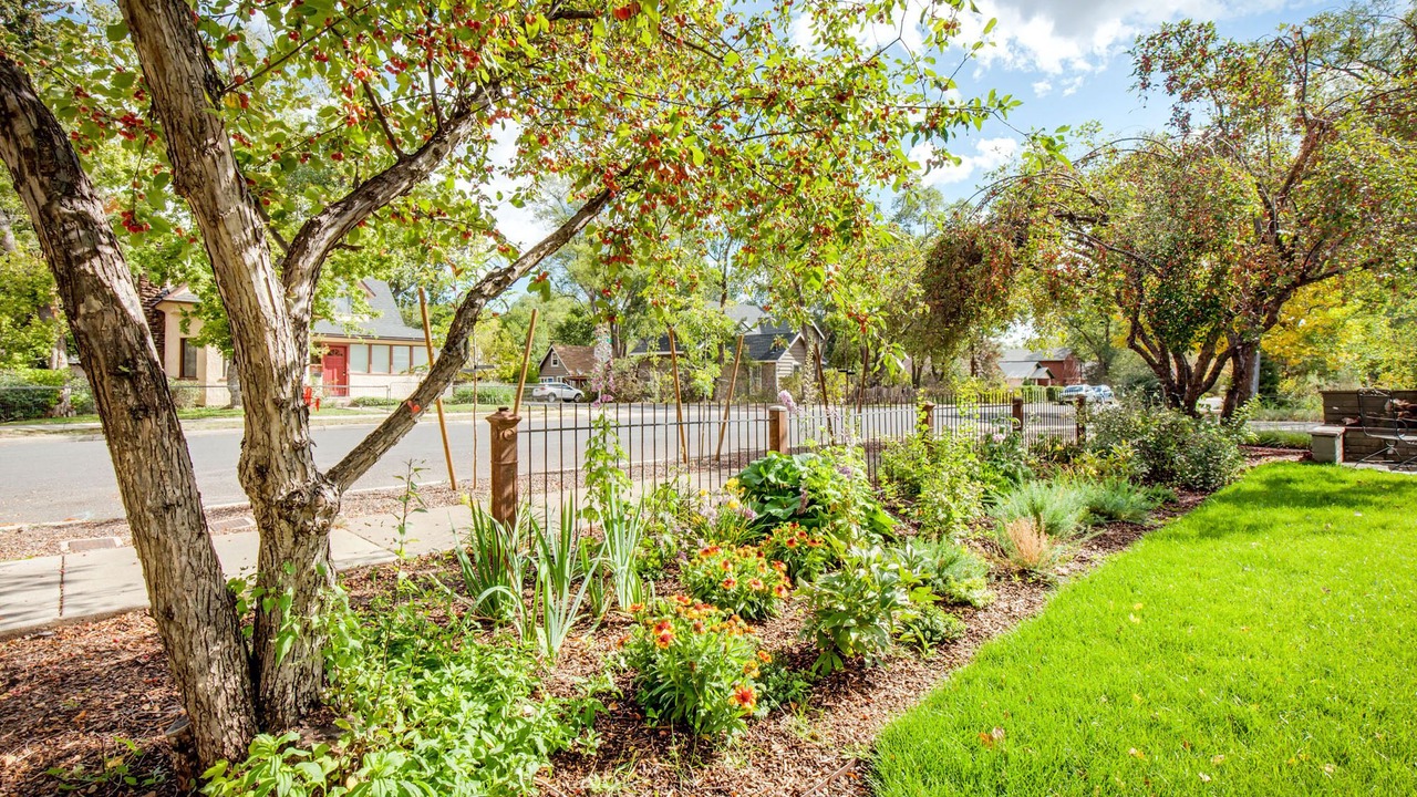 Photo of Outdoor in Flagstaff