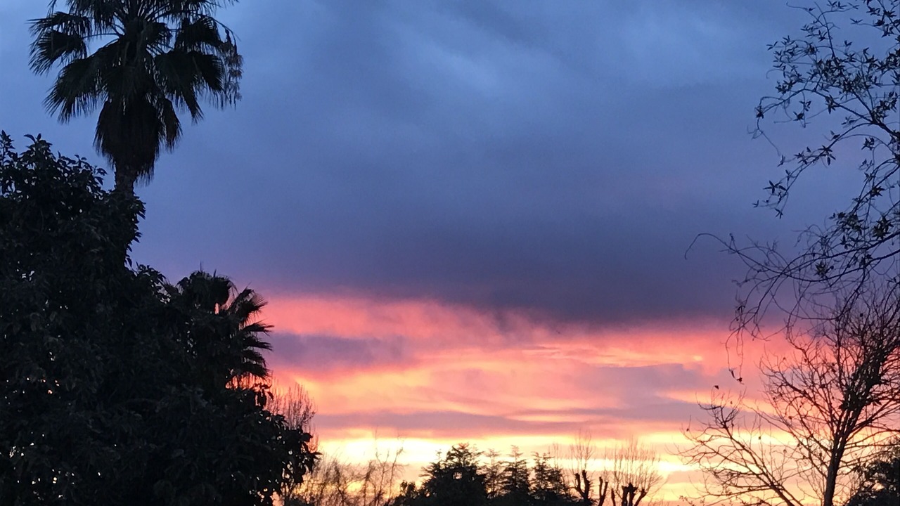 Photo of Outdoor in Altadena