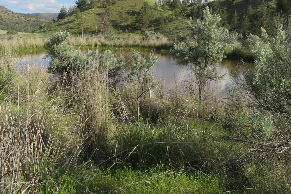 Photo of Outdoor in Kimberly