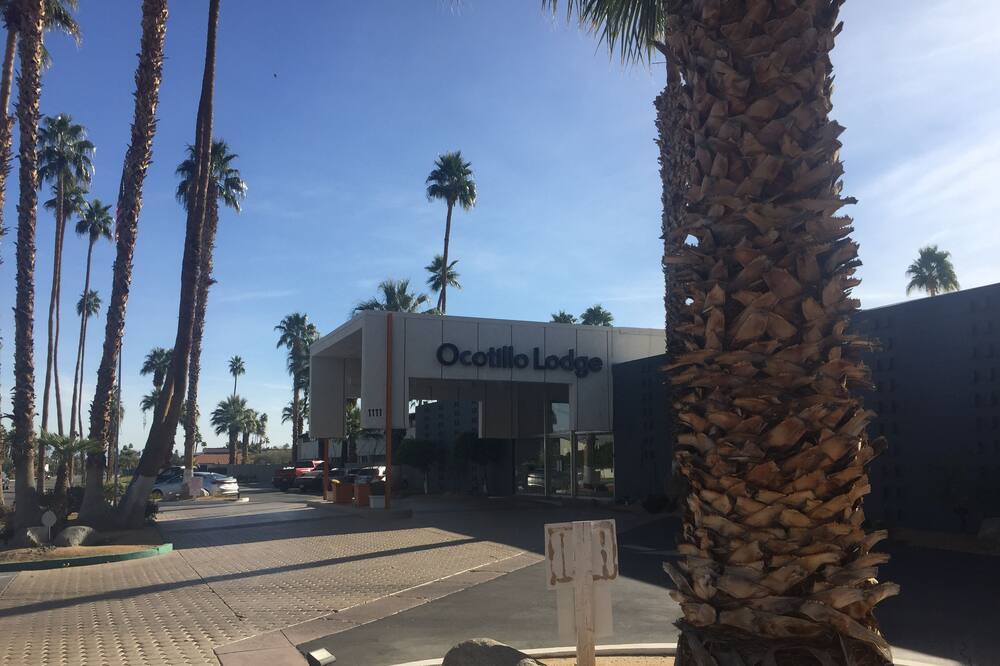 Photo of Others in Twin Palms