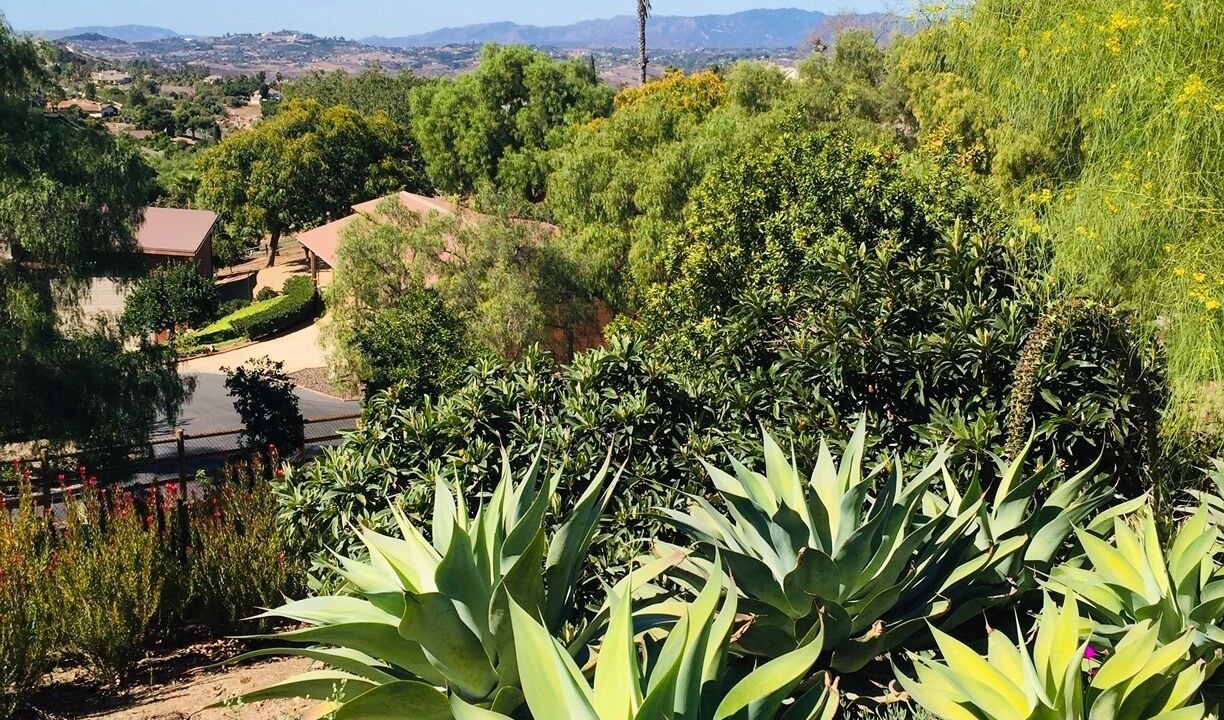 Photo of Outdoor in Vista