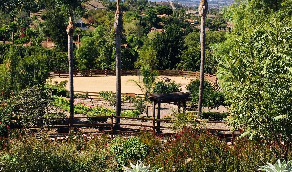 Photo of Outdoor in Vista
