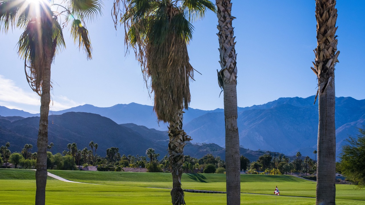 Photo of Others in Downtown Palm Springs