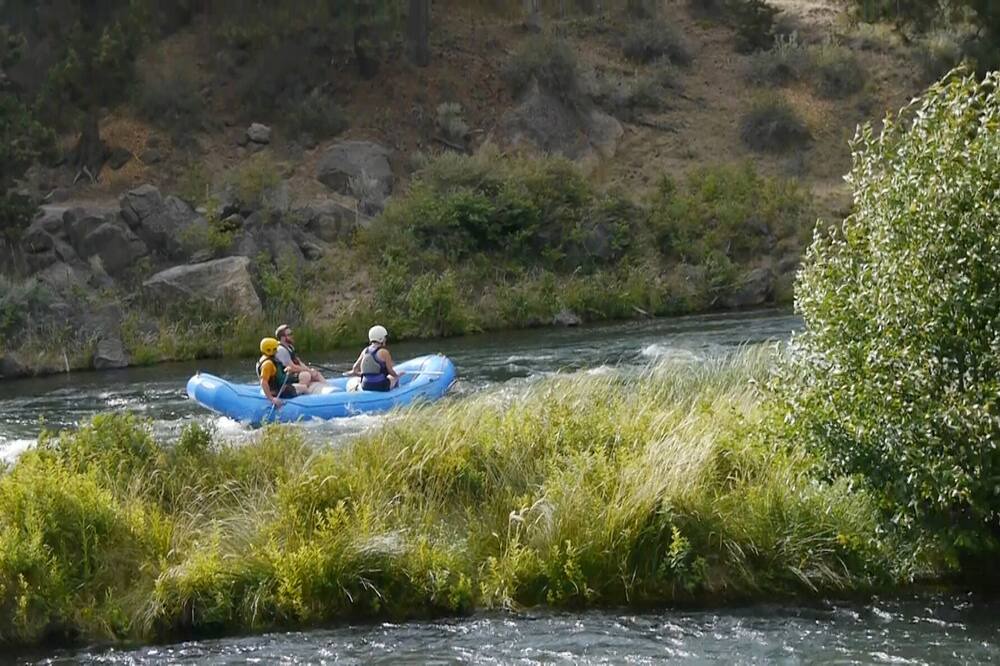 Photo of Others in Southern Crossing