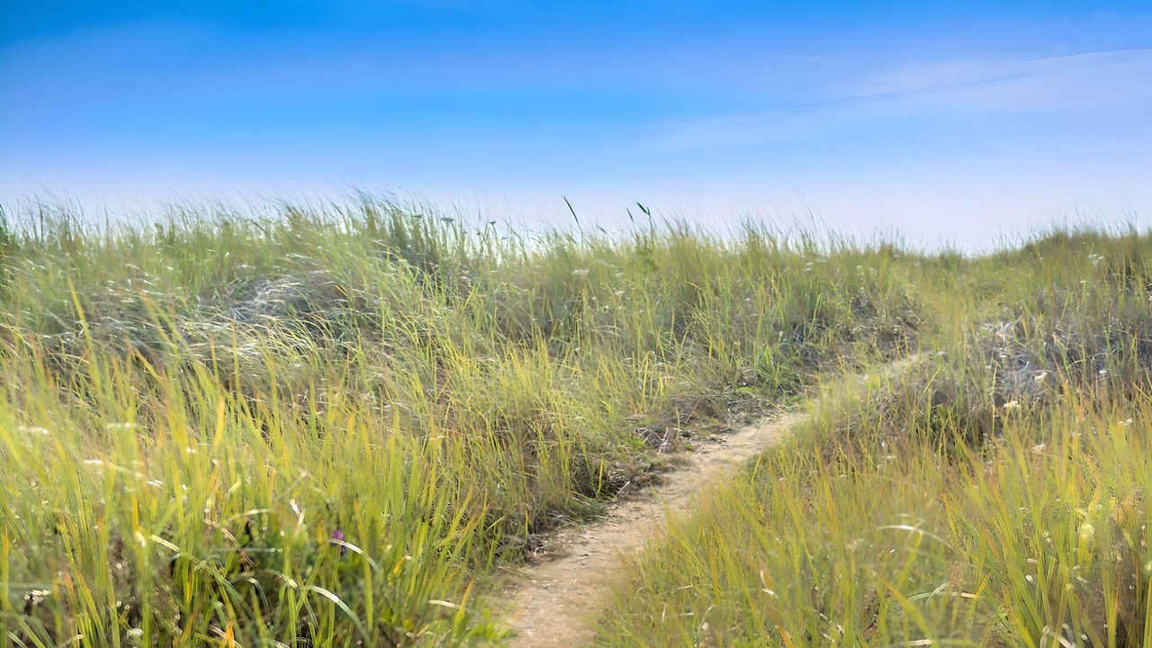 Photo of Outdoor in Ocean Shores