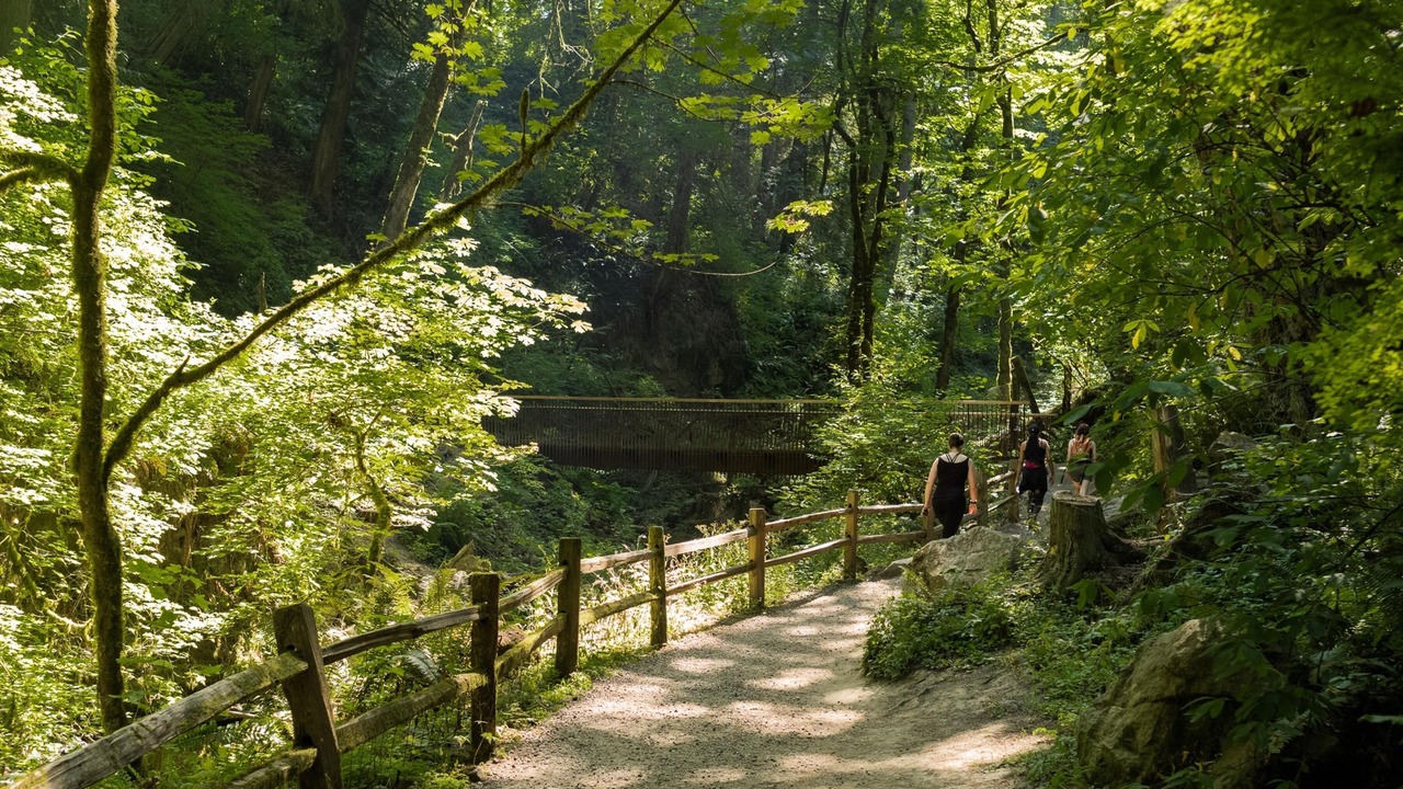 Photo of Others in Parkrose