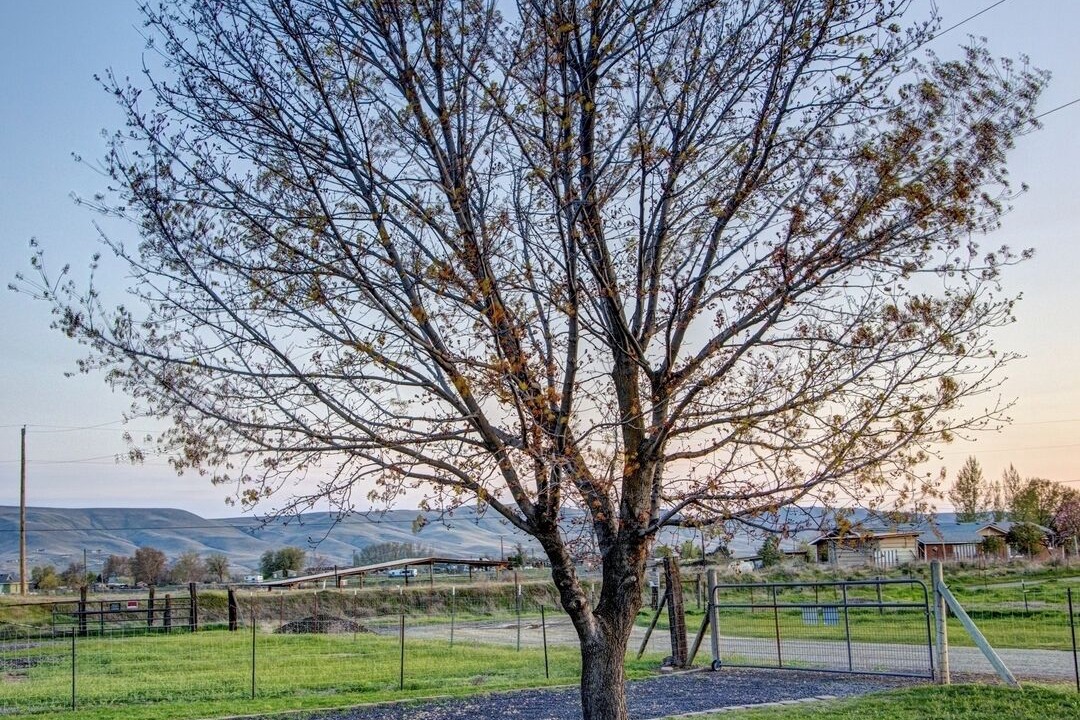 Photo of Others in Prosser