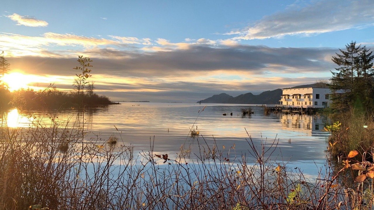 Photo of Others in Skamokawa