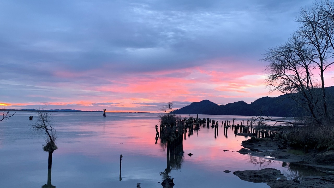 Photo of Others in Skamokawa
