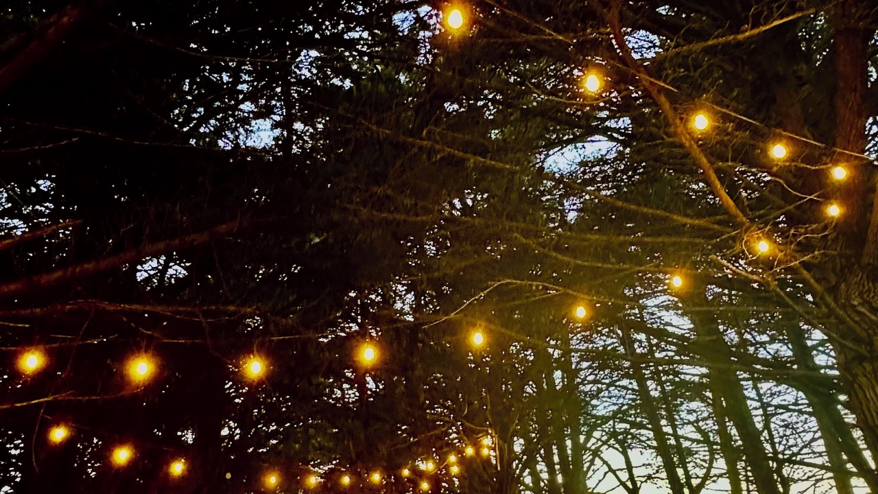 Photo of Outdoor in Ragged Point