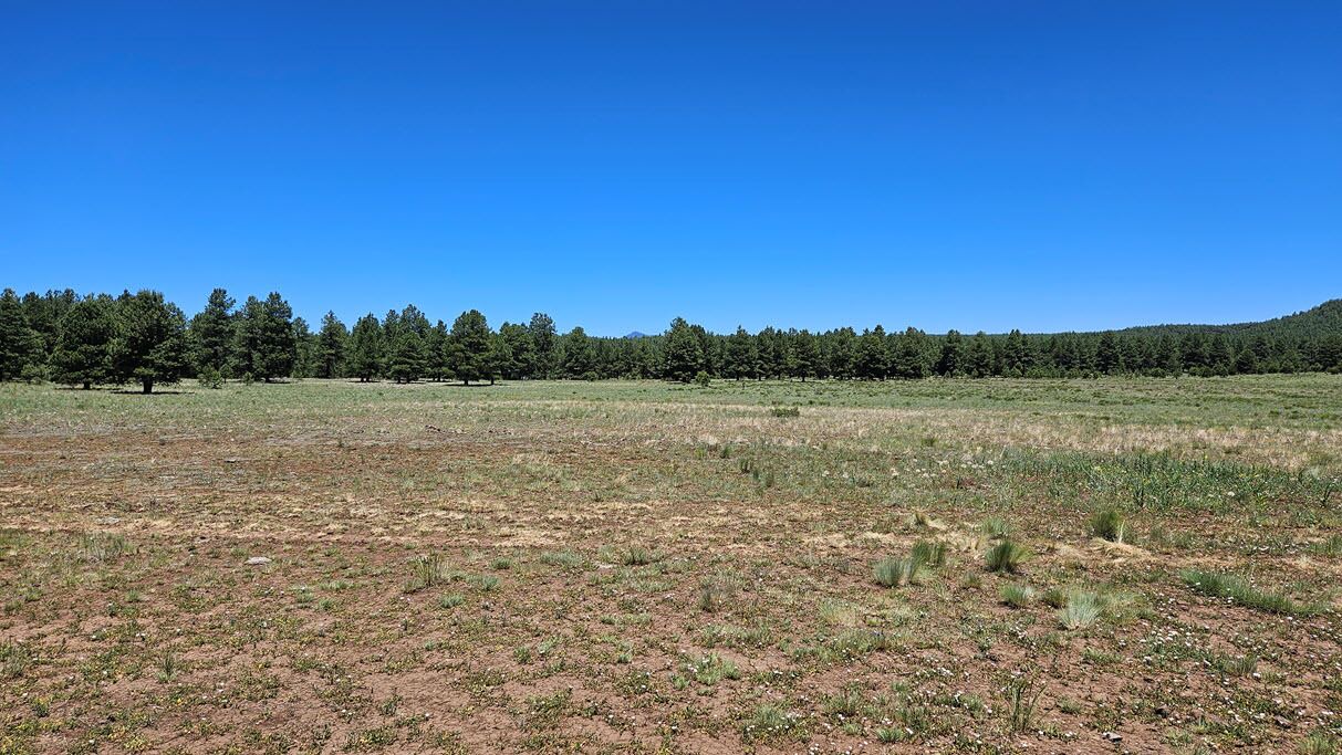 Photo of Others in Flagstaff