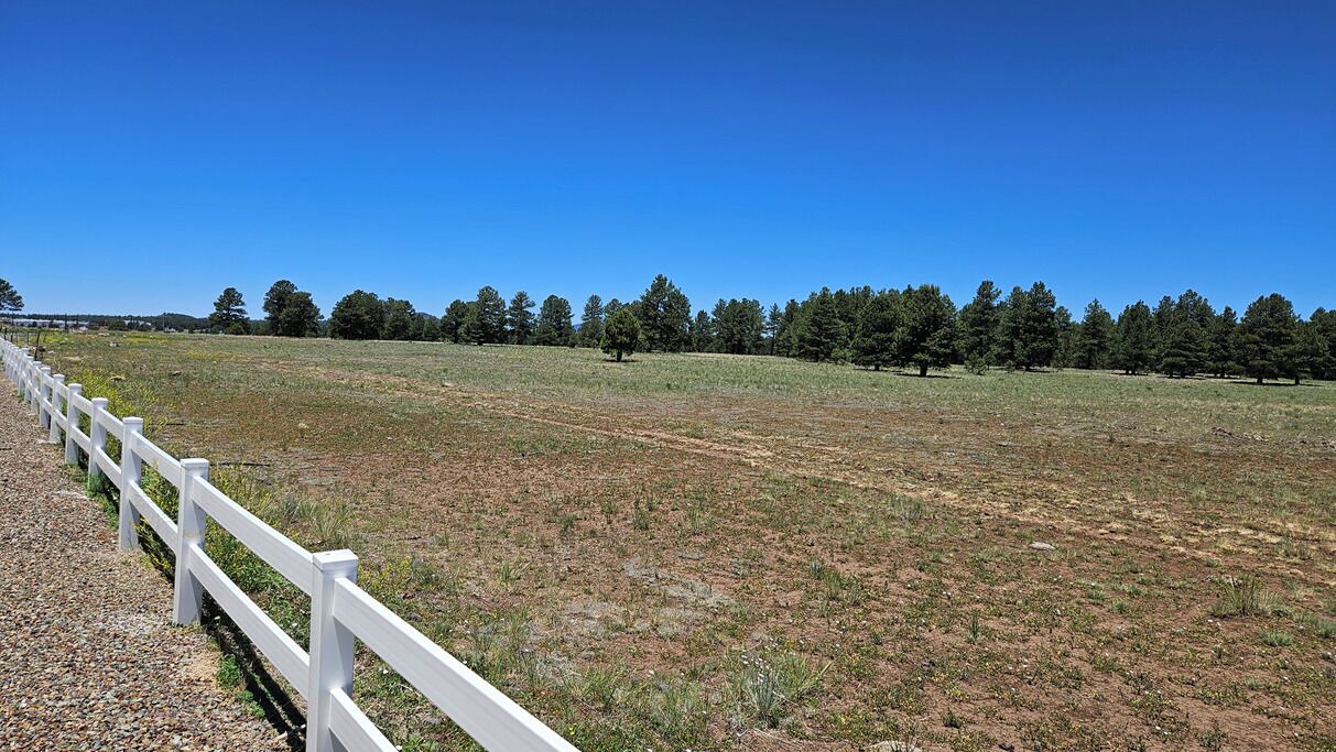 Photo of Others in Flagstaff