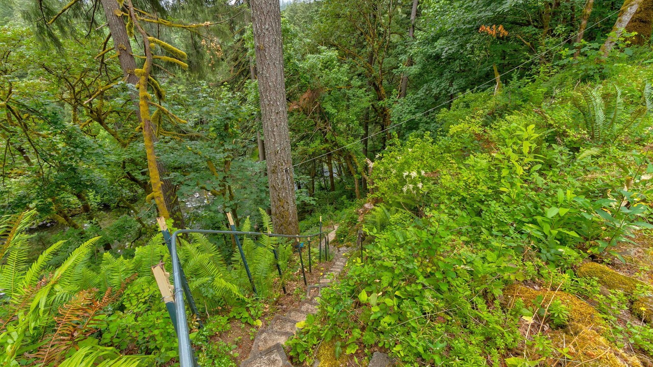 Photo of Outdoor in Battle Ground