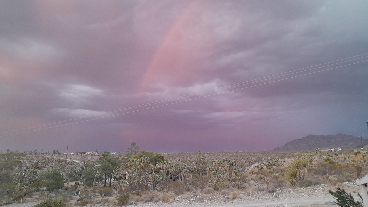 Photo of Others in Dolan Springs