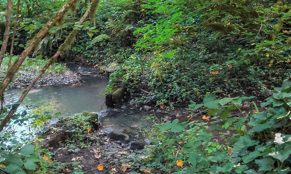 Photo of Outdoor in Robinwood
