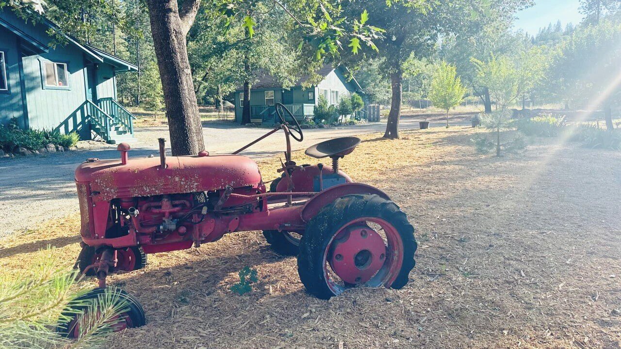Photo of Others in Kelseyville
