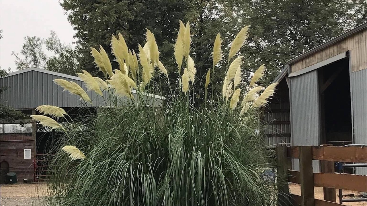 Photo of Outdoor in Junction City