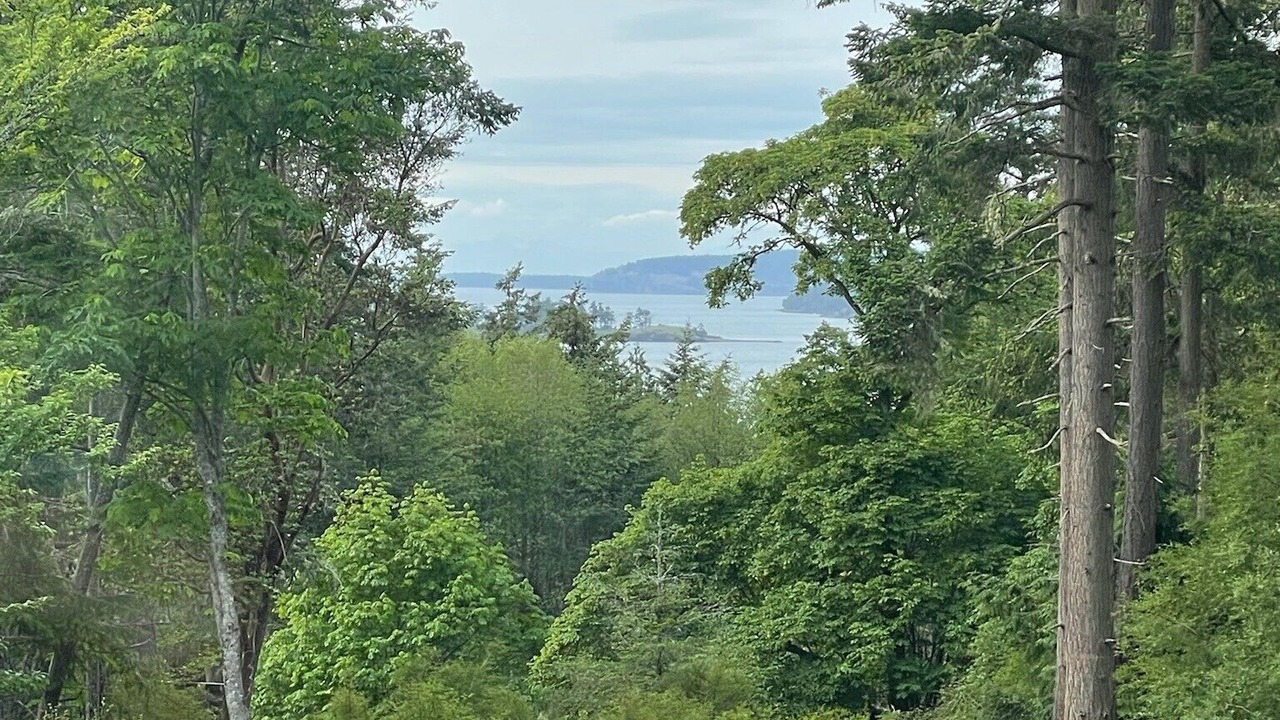 Photo of Others in Friday Harbor