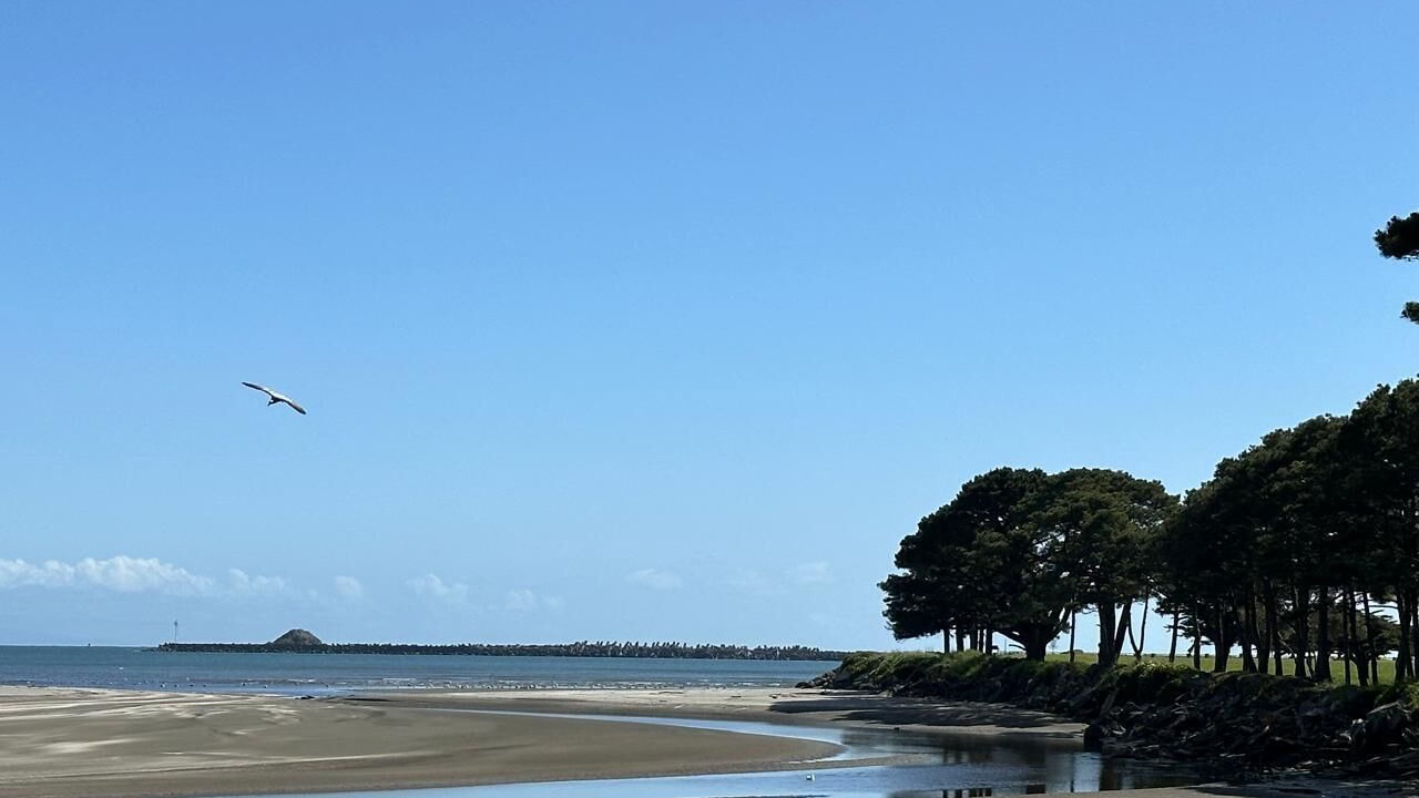 Photo of Outdoor in Crescent City