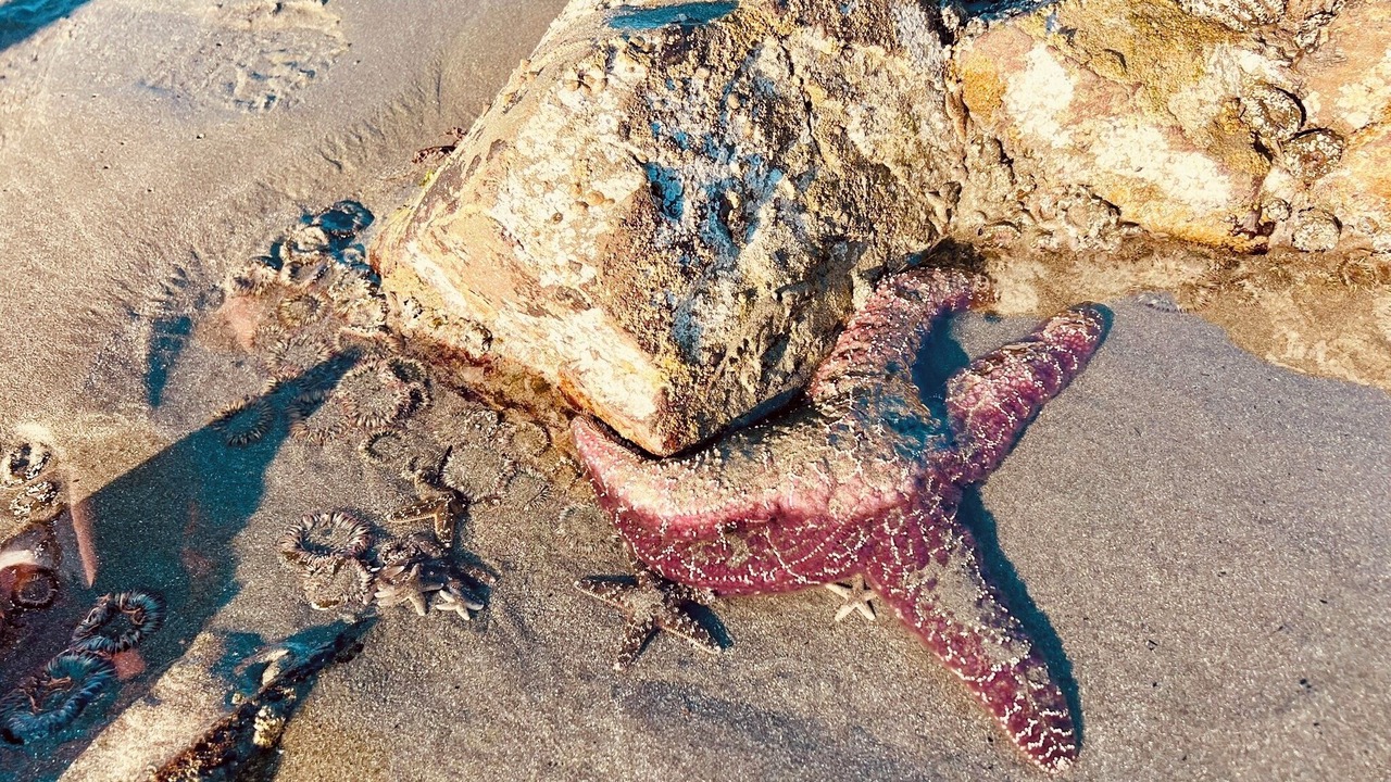 Photo of Others in Crescent City