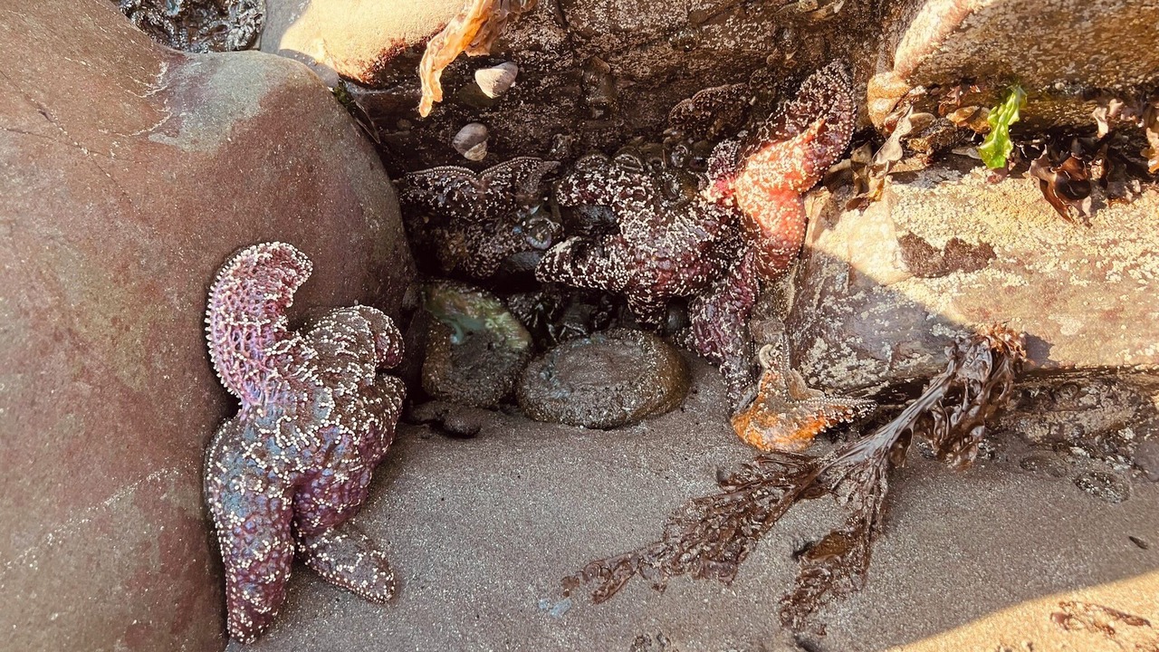Photo of Others in Crescent City