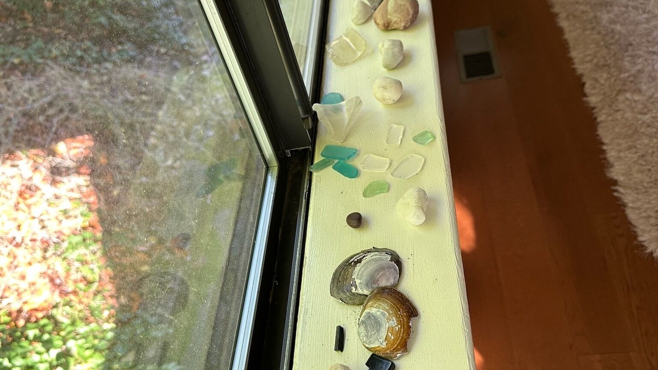 Photo of Others in Camano Island